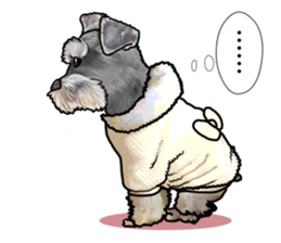 Miniature Schnauzer -2- sticker #6471526