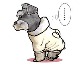 Miniature Schnauzer -2- sticker #6471526