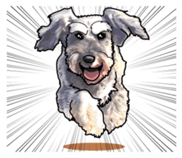 Miniature Schnauzer -2- sticker #6471530