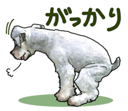 Miniature Schnauzer -2- sticker #6471533