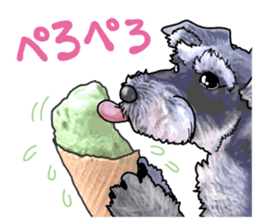 Miniature Schnauzer -2- sticker #6471538