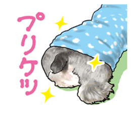 Miniature Schnauzer -2- sticker #6471539