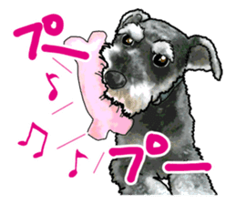 Miniature Schnauzer -2- sticker #6471541