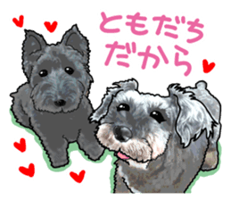 Miniature Schnauzer -2- sticker #6471549