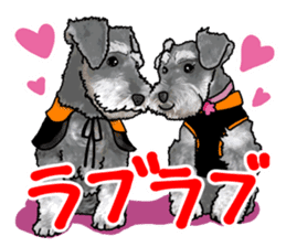 Miniature Schnauzer -2- sticker #6471550