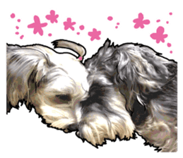 Miniature Schnauzer -2- sticker #6471551
