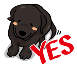 Puppies of Labrador Retriever sticker #6472272