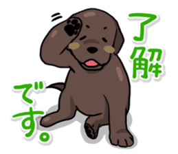Puppies of Labrador Retriever sticker #6472274