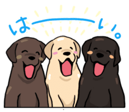 Puppies of Labrador Retriever sticker #6472275