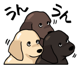 Puppies of Labrador Retriever sticker #6472276