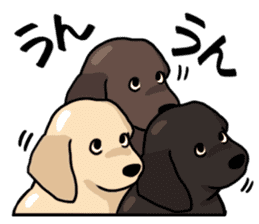 Puppies of Labrador Retriever sticker #6472276