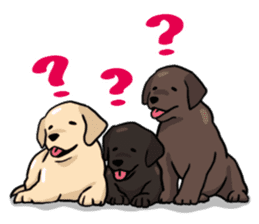 Puppies of Labrador Retriever sticker #6472277