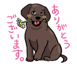 Puppies of Labrador Retriever sticker #6472278