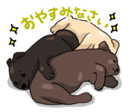 Puppies of Labrador Retriever sticker #6472279