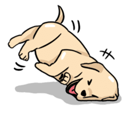 Puppies of Labrador Retriever sticker #6472282
