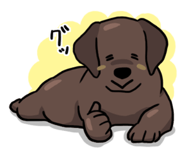 Puppies of Labrador Retriever sticker #6472283