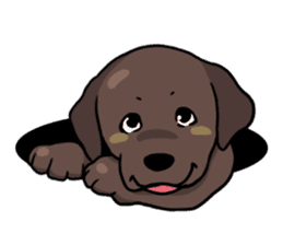 Puppies of Labrador Retriever sticker #6472286