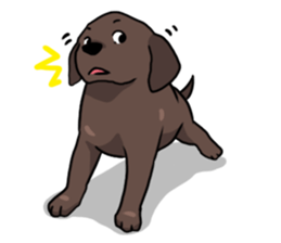 Puppies of Labrador Retriever sticker #6472288