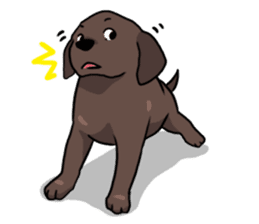 Puppies of Labrador Retriever sticker #6472288
