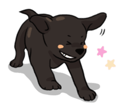 Puppies of Labrador Retriever sticker #6472289