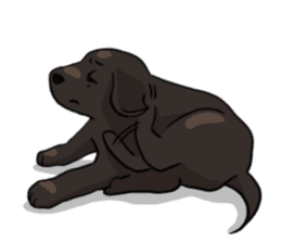 Puppies of Labrador Retriever sticker #6472291
