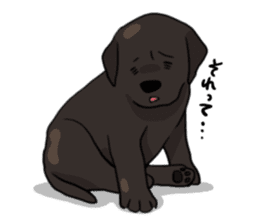 Puppies of Labrador Retriever sticker #6472292