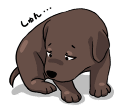 Puppies of Labrador Retriever sticker #6472294
