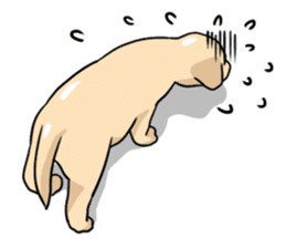 Puppies of Labrador Retriever sticker #6472295