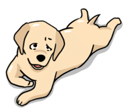 Puppies of Labrador Retriever sticker #6472296