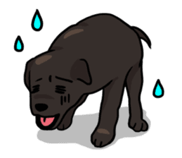 Puppies of Labrador Retriever sticker #6472298