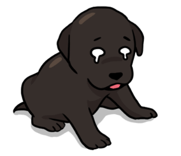 Puppies of Labrador Retriever sticker #6472301