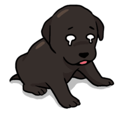 Puppies of Labrador Retriever sticker #6472301
