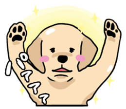 Puppies of Labrador Retriever sticker #6472303