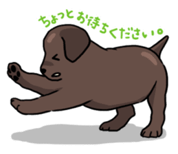 Puppies of Labrador Retriever sticker #6472305