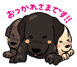 Puppies of Labrador Retriever sticker #6472308