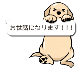 Puppies of Labrador Retriever sticker #6472309