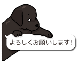 Puppies of Labrador Retriever sticker #6472310