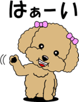 Cute toy poodle dog sticker #6476392