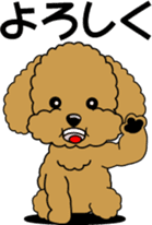 Cute toy poodle dog sticker #6476393