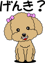 Cute toy poodle dog sticker #6476394