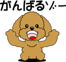 Cute toy poodle dog sticker #6476411