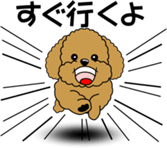 Cute toy poodle dog sticker #6476412