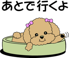 Cute toy poodle dog sticker #6476413