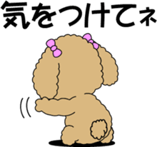Cute toy poodle dog sticker #6476415