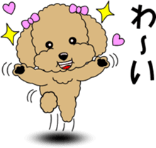 Cute toy poodle dog sticker #6476421