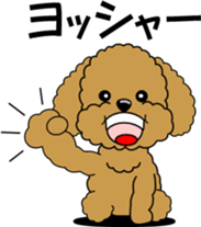Cute toy poodle dog sticker #6476422