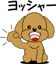 Cute toy poodle dog sticker #6476422