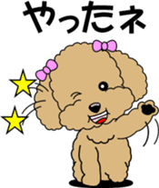 Cute toy poodle dog sticker #6476423