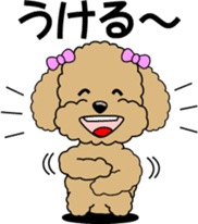 Cute toy poodle dog sticker #6476424