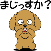 Cute toy poodle dog sticker #6476425